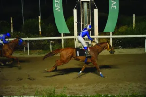 ΙΠΠΟΔΡΟΜΟΣ ΚΥΠΡΟΣ / IPPODROMOS KYPROS ΣΑΝ ΝΤΙΕΓΚΟ - 17/06/2026