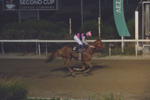 ΙΠΠΟΔΡΟΜΟΣ ΚΥΠΡΟΣ / IPPODROMOS KYPROS ΤΑΡΑΣ ΚΙΓΚ -  19/06/2026