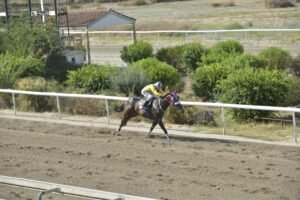 ΙΠΠΟΔΡΟΜΟΣ ΚΥΠΡΟΣ / IPPODROMOS KYPROS ΦΩΚΑΣ - 17/07/2026