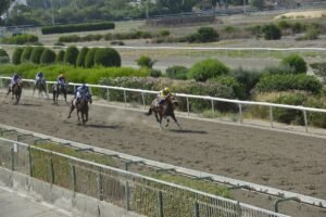 ΙΠΠΟΔΡΟΜΟΣ ΚΥΠΡΟΣ / IPPODROMOS KYPROS ΓΟΥΙΜΠΑΪΝΑ - 08/07/2026