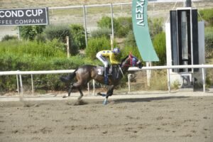 ΙΠΠΟΔΡΟΜΟΣ ΚΥΠΡΟΣ / IPPODROMOS KYPROS ΦΩΚΑΣ - 17/07/2026