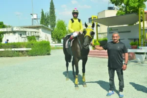 ΙΠΠΟΔΡΟΜΟΣ ΚΥΠΡΟΣ / IPPODROMOS KYPROS ΙΝΤΙΓΚΟ ΜΠΕΡΤ - 15/07/2026