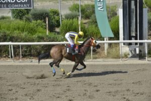 ΙΠΠΟΔΡΟΜΟΣ ΚΥΠΡΟΣ / IPPODROMOS KYPROS ΓΟΥΙΜΠΑΪΝΑ - 08/07/2026