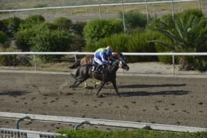 ΙΠΠΟΔΡΟΜΟΣ ΚΥΠΡΟΣ / IPPODROMOS KYPROS ΑΡΙΣΤΟΚΡΑΤΗΣ - 29/07/2029