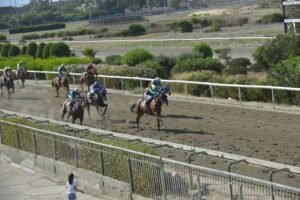ΙΠΠΟΔΡΟΜΟΣ ΚΥΠΡΟΣ / IPPODROMOS KYPROS ΚΩΝΣΤΑΝΤΙΝΑΡΑ - 08/07/2026
