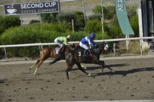 ΙΠΠΟΔΡΟΜΟΣ ΚΥΠΡΟΣ / IPPODROMOS KYPROS ΑΡΙΣΤΟΚΡΑΤΗΣ - 29/07/2029