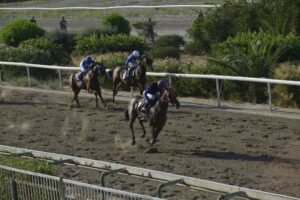 ΙΠΠΟΔΡΟΜΟΣ ΚΥΠΡΟΣ / IPPODROMOS KYPROS  ΕΣΠΕΡΟΣ - 17/07/2026