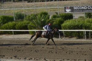 ΙΠΠΟΔΡΟΜΟΣ ΚΥΠΡΟΣ / IPPODROMOS KYPROS ΜΙΚΡΗ ΒΑΡΒΑΡΑ - 22/07/2026
