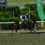 ΙΠΠΟΔΡΟΜΟΣ ΚΥΠΡΟΣ / IPPODROMOS KYPROS ΤΑΡΑΣ ΝΤΙΒΑ - 15/07/2026