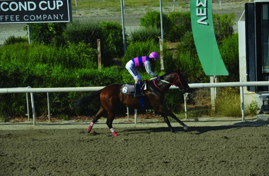 ΙΠΠΟΔΡΟΜΟΣ ΚΥΠΡΟΣ / IPPODROMOS KYPROS ΤΑΡΑΣ ΝΤΙΒΑ - 15/07/2026