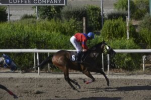 ΙΠΠΟΔΡΟΜΟΣ ΚΥΠΡΟΣ / IPPODROMOS KYPROS ΑΜΑΛΙΑ - 29/07/2029