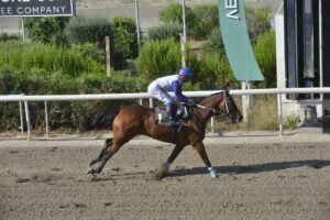 ΙΠΠΟΔΡΟΜΟΣ ΚΥΠΡΟΣ / IPPODROMOS KYPROS ΜΙΡΑΝΤΟΥΑ - 08/07/2026