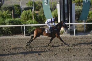 ΙΠΠΟΔΡΟΜΟΣ ΚΥΠΡΟΣ / IPPODROMOS KYPROS ΕΛΟΝΑ - 22/07/2026
