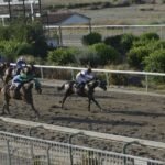 ΙΠΠΟΔΡΟΜΟΣ ΚΥΠΡΟΣ / IPPODROMOS KYPROS ΕΘΝΙΚΟΣ - 17/07/2026