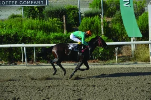ΙΠΠΟΔΡΟΜΟΣ ΚΥΠΡΟΣ / IPPODROMOS KYPROS ΠΟΙΖΟΝ ΑΗΒΥ - 15/07/2026