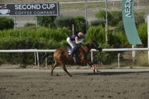 ΙΠΠΟΔΡΟΜΟΣ ΚΥΠΡΟΣ / IPPODROMOS KYPROS ΑΡΧΟΝΤΙΑ - 08/07/2026