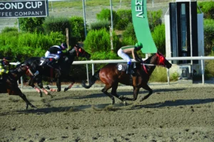 ΙΠΠΟΔΡΟΜΟΣ ΚΥΠΡΟΣ / IPPODROMOS KYPROS ΤΟΥΡΟΣ - 10/07/2026