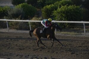 ΙΠΠΟΔΡΟΜΟΣ ΚΥΠΡΟΣ / IPPODROMOS KYPROS ΜΙΛΒΑΝΙΑ - 22/07/2026