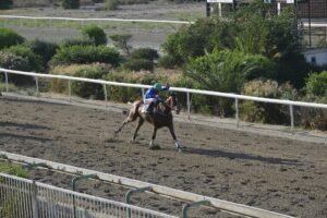 ΙΠΠΟΔΡΟΜΟΣ ΚΥΠΡΟΣ / IPPODROMOS KYPROS ΝΑΥΣΙΚΡΑΤΗΣ - 08/07/2026