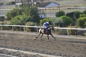 ΙΠΠΟΔΡΟΜΟΣ ΚΥΠΡΟΣ / IPPODROMOS KYPROS ΦΩΤΟ ΓΚΟΥΡΟΥ - 17/07/2026