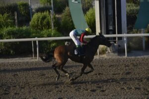 ΙΠΠΟΔΡΟΜΟΣ ΚΥΠΡΟΣ / IPPODROMOS KYPROS ΜΙΛΒΑΝΙΑ - 22/07/2026