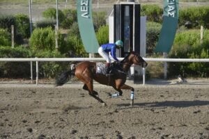 ΙΠΠΟΔΡΟΜΟΣ ΚΥΠΡΟΣ / IPPODROMOS KYPROS ΝΑΥΣΙΚΡΑΤΗΣ - 08/07/2026