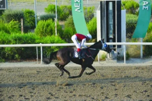 ΙΠΠΟΔΡΟΜΟΣ ΚΥΠΡΟΣ / IPPODROMOS KYPROS ΠΑΤΡΙΩΤΗΣ - 24/07/2026