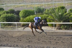 ΙΠΠΟΔΡΟΜΟΣ ΚΥΠΡΟΣ / IPPODROMOS KYPROS ΦΩΤΟ ΓΚΟΥΡΟΥ - 17/07/2026