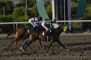 ΙΠΠΟΔΡΟΜΟΣ ΚΥΠΡΟΣ / IPPODROMOS KYPROS ΜΠΛΟΥ ΑΚΑΛΥΠΤΟ - 29/07/2029