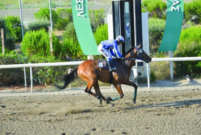 ΙΠΠΟΔΡΟΜΟΣ ΚΥΠΡΟΣ / IPPODROMOS KYPROS ΦΩΤΟ ΓΚΟΥΡΟΥ - 03/07/2026