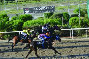 ΙΠΠΟΔΡΟΜΟΣ ΚΥΠΡΟΣ / IPPODROMOS KYPROS ΜΠΛΑΚ ΜΑΜΠΑ - 01/07/2026