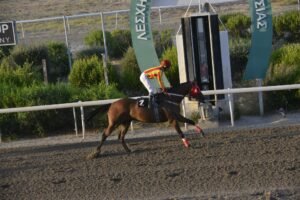 ΙΠΠΟΔΡΟΜΟΣ ΚΥΠΡΟΣ / IPPODROMOS KYPROS ΝΤΟΥΚΑ ΚΑΚΗΣ - 29/07/2029