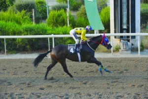 ΙΠΠΟΔΡΟΜΟΣ ΚΥΠΡΟΣ / IPPODROMOS KYPROS ΦΩΚΑΣ - 24/07/2026