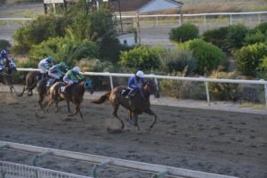 ΙΠΠΟΔΡΟΜΟΣ ΚΥΠΡΟΣ / IPPODROMOS KYPROS  ΣΑΝ ΝΤΙΕΓΚΟ - 17/07/2026