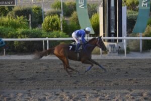 ΙΠΠΟΔΡΟΜΟΣ ΚΥΠΡΟΣ / IPPODROMOS KYPROS  ΣΑΝ ΝΤΙΕΓΚΟ - 17/07/2026