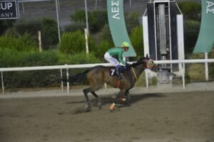 ΙΠΠΟΔΡΟΜΟΣ ΚΥΠΡΟΣ / IPPODROMOS KYPROS ΧΑΒΑΗ ΜΟΥΝ - 29/07/2029