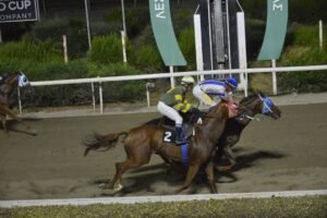 ΙΠΠΟΔΡΟΜΟΣ ΚΥΠΡΟΣ / IPPODROMOS KYPROS ΜΙΜΝΕΡΜΟΣ - 22/07/2026