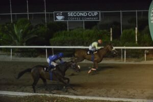 ΙΠΠΟΔΡΟΜΟΣ ΚΥΠΡΟΣ / IPPODROMOS KYPROS ΠΙΛΙΠΙΝΤΗΣ - 08/07/2026