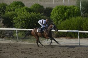ΙΠΠΟΔΡΟΜΟΣ ΚΥΠΡΟΣ / IPPODROMOS KYPROS ΕΡΩΤΑΣ - 28/082026