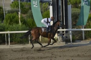 ΙΠΠΟΔΡΟΜΟΣ ΚΥΠΡΟΣ / IPPODROMOS KYPROS ΕΡΩΤΑΣ - 28/082026