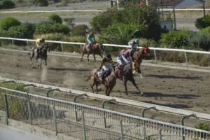 ΙΠΠΟΔΡΟΜΟΣ ΚΥΠΡΟΣ / IPPODROMOS KYPROS  ΜΑΝΤΑΛΕΝΑ - 31/06/2026
