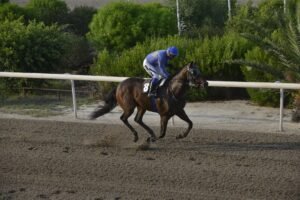 ΙΠΠΟΔΡΟΜΟΣ ΚΥΠΡΟΣ / IPPODROMOS KYPROS ΒΑΒΛΑ - 28/082026