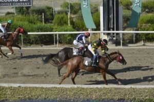 ΙΠΠΟΔΡΟΜΟΣ ΚΥΠΡΟΣ / IPPODROMOS KYPROS  ΜΑΝΤΑΛΕΝΑ - 31/06/2026