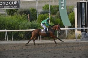 ΙΠΠΟΔΡΟΜΟΣ ΚΥΠΡΟΣ / IPPODROMOS KYPROS ΑΝΤΡΕΛΕΦ ΣΕΗΛ - 28/082026