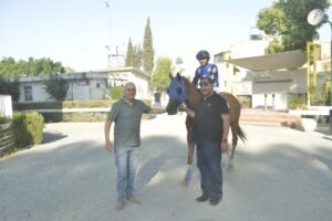 ΙΠΠΟΔΡΟΜΟΣ ΚΥΠΡΟΣ / IPPODROMOS KYPROS ΡΩΜΑΝΟΣ - 31/06/2026