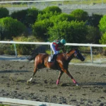 ΙΠΠΟΔΡΟΜΟΣ ΚΥΠΡΟΣ / IPPODROMOS KYPROS ΜΙΧΑΓΕ - 5/8/2026