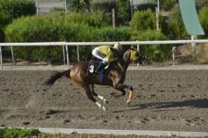 ΙΠΠΟΔΡΟΜΟΣ ΚΥΠΡΟΣ / IPPODROMOS KYPROS ΑΧΕΡΩΝ - 31/06/2026