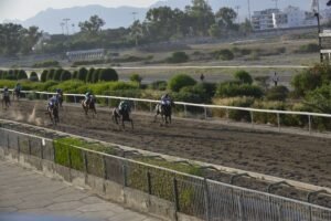 ΙΠΠΟΔΡΟΜΟΣ ΚΥΠΡΟΣ / IPPODROMOS KYPROS ΧΑΒΑΗ ΧΕΪΛΟ - 31/06/2026