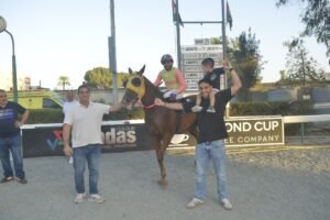 ΙΠΠΟΔΡΟΜΟΣ ΚΥΠΡΟΣ / IPPODROMOS KYPROS NTIBAΪΝΟΥΣ - 31/06/2026