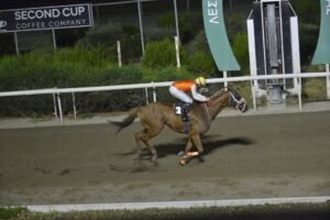 ΙΠΠΟΔΡΟΜΟΣ ΚΥΠΡΟΣ / IPPODROMOS KYPROS ΘΕΟΦΙΛΟΣ - 31/06/2026